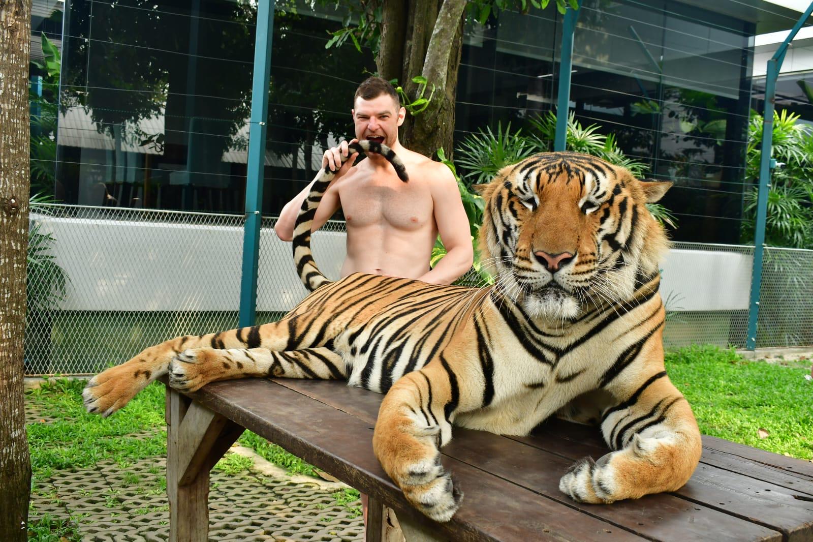 Bryce Huston interacting with a tiger